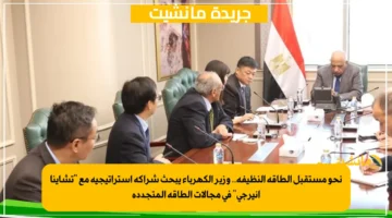 نحو مستقبل الطاقة النظيفة.. وزير الكهرباء يبحث شراكة استراتيجية مع تشاينا انيرجي في مجالات الطاقة المتجددة 1